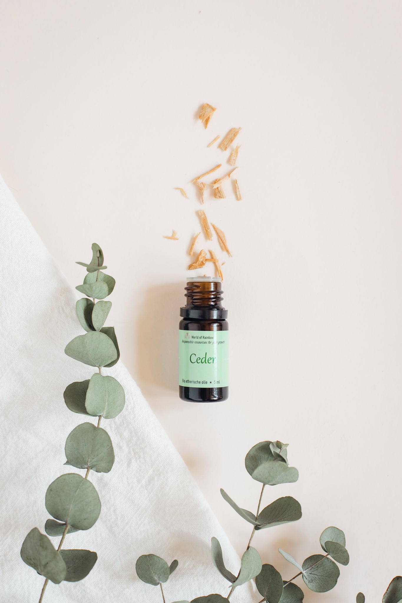 Cedar