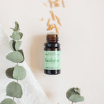 Eucalyptus