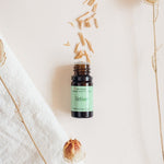 Vetiver